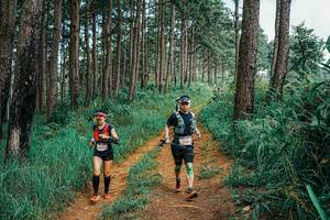 BIB: 
                            <button type="button" onclick="openModal(25665648)" class="btn btn-primary btn-sm float-right btn-popup" data-toggle="modal" data-target=".modal-high-quality">
                        <i class="fas fa-shopping-cart"></i> Add to Cart
                    </button>
                                            <button type="button" onclick="isThisMe(25665648, true)" class="btn btn-success btn-sm float-right btn-popup btn-isme hidden" data-toggle="tooltip" data-placement="bottom" title="นี่คือรูปของคุณใช่ไหม คลิกที่นี่เพื่อเอาเข้าอัลบั้ม">
                        <i class="fas fa-plus"></i> Add to album
                    </button>
                    <button type="button" onclick="isThisMe(25665648, false)" class="btn btn-warning btn-sm float-right btn-popup btn-isnotme hidden">
                        <i class="fas fa-ban"></i> Remove from album
                    </button>